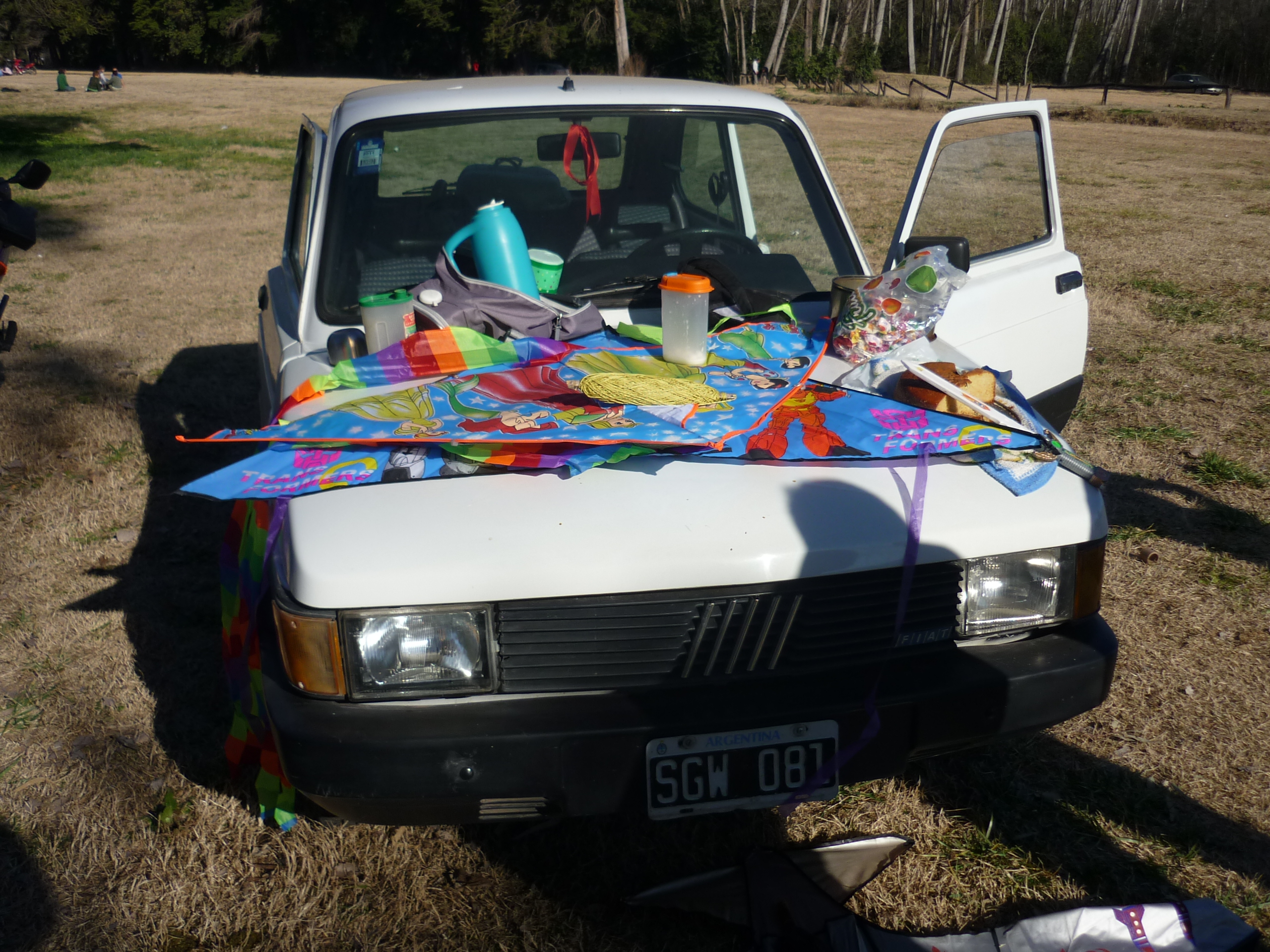 fotos/2010-08-09 - Dia del niño en el parque/P1010316.JPG